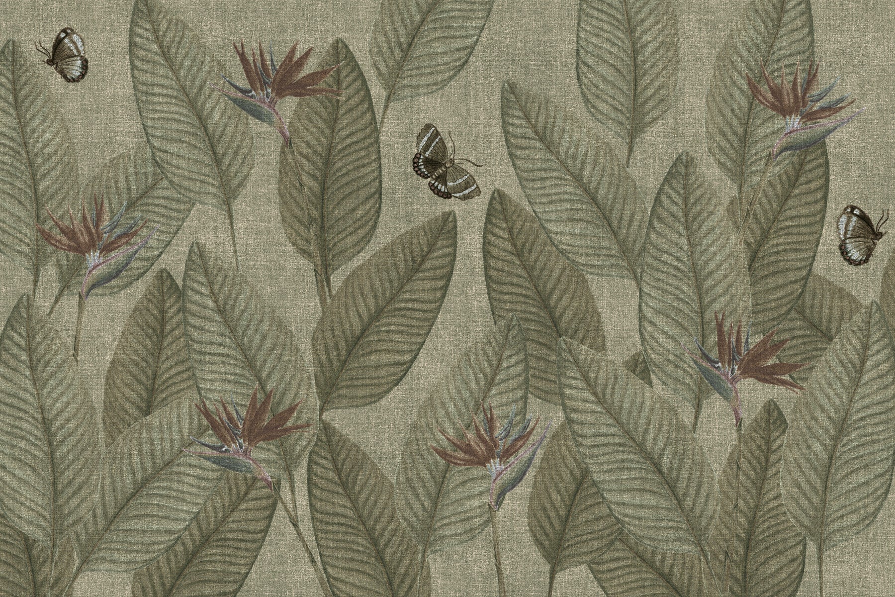 Jungle Life Antique Wall Mural in your room — zoomed