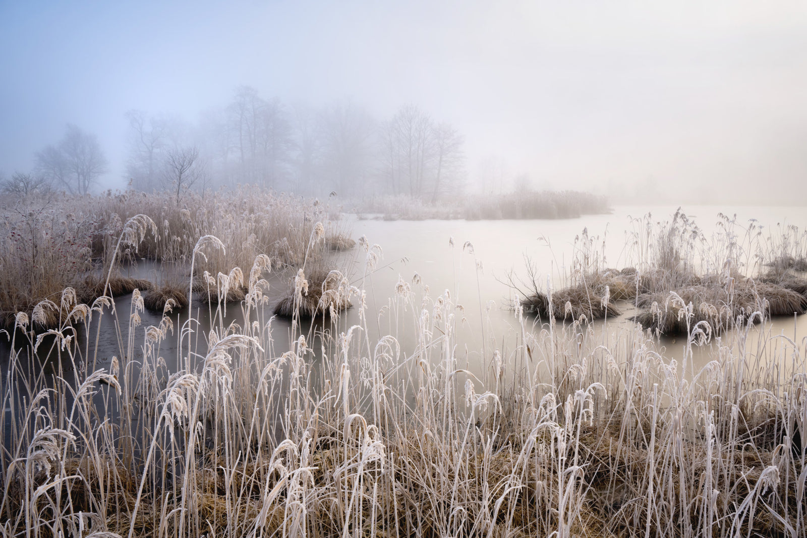 Wandbild „Frosted Dawn“ – 2475230