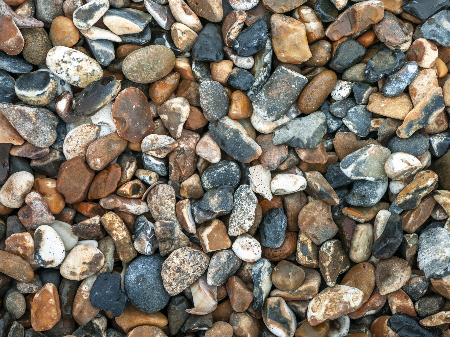 Beach Pebbles Wall Mural