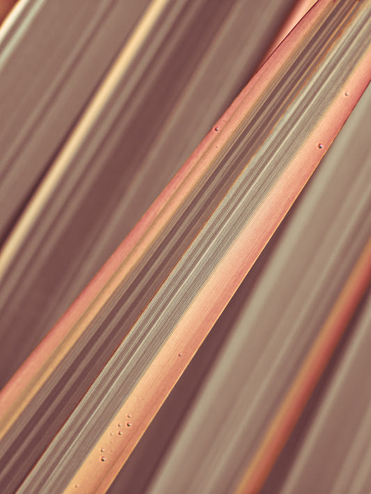Terra Lines Wall Mural