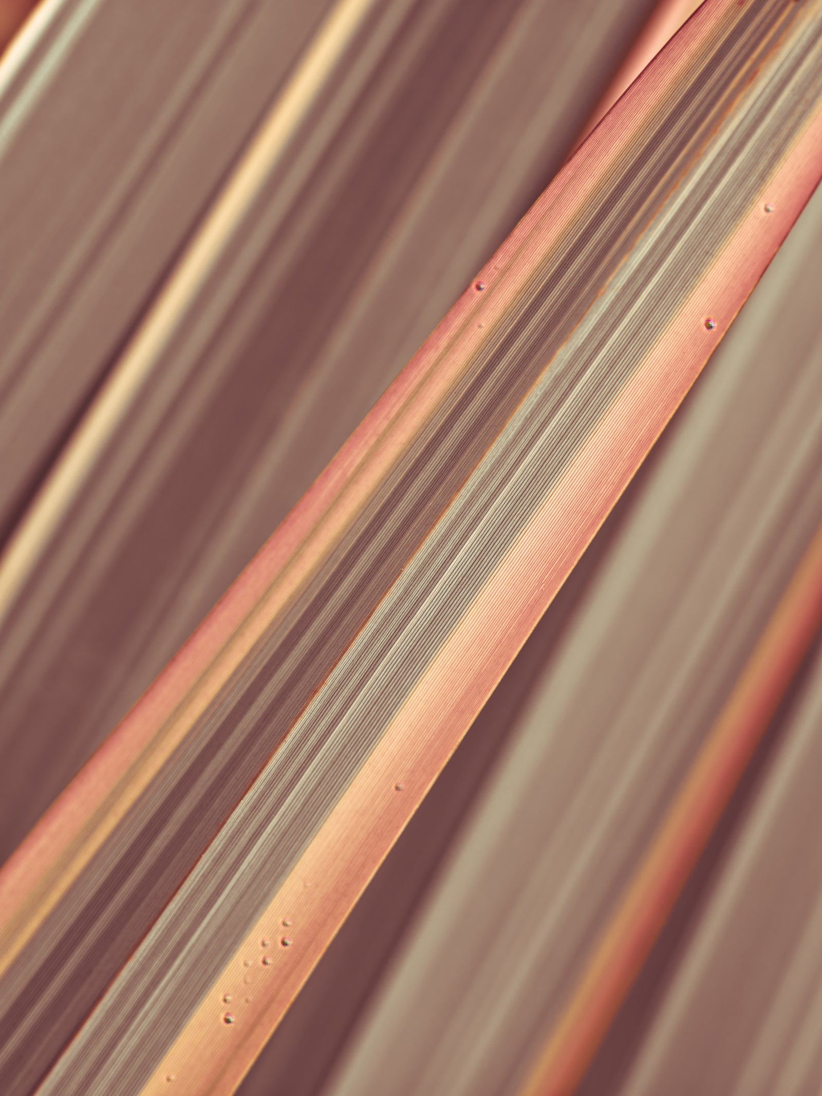 Terra Lines Wall Mural