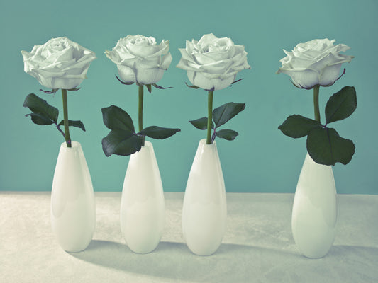 Floral Quartet Wall Mural