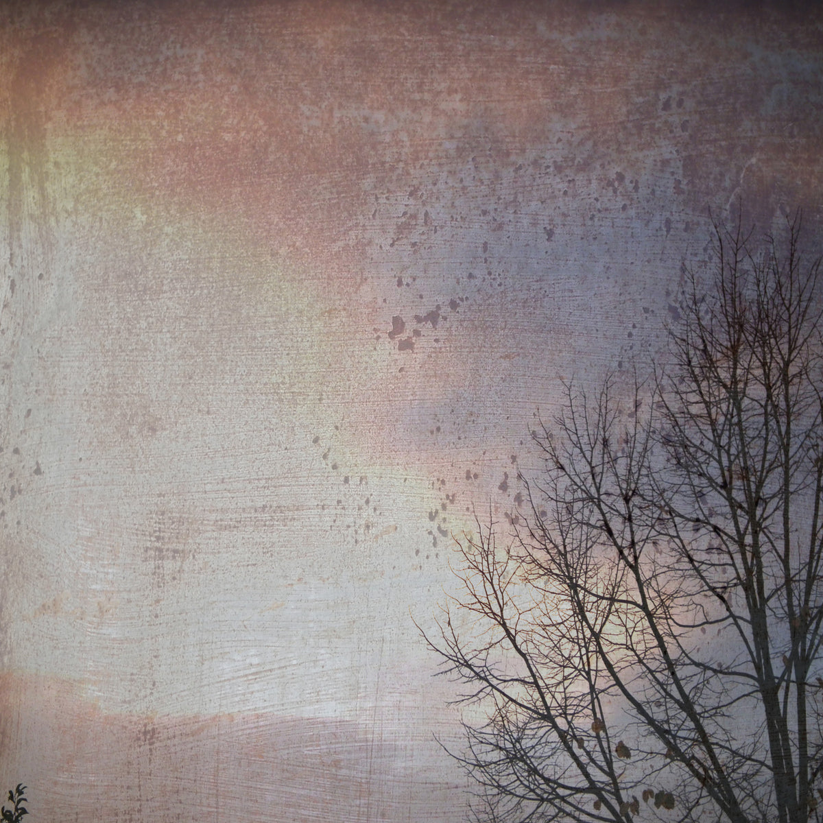 Winter Day Wall Mural in your room — zoomed