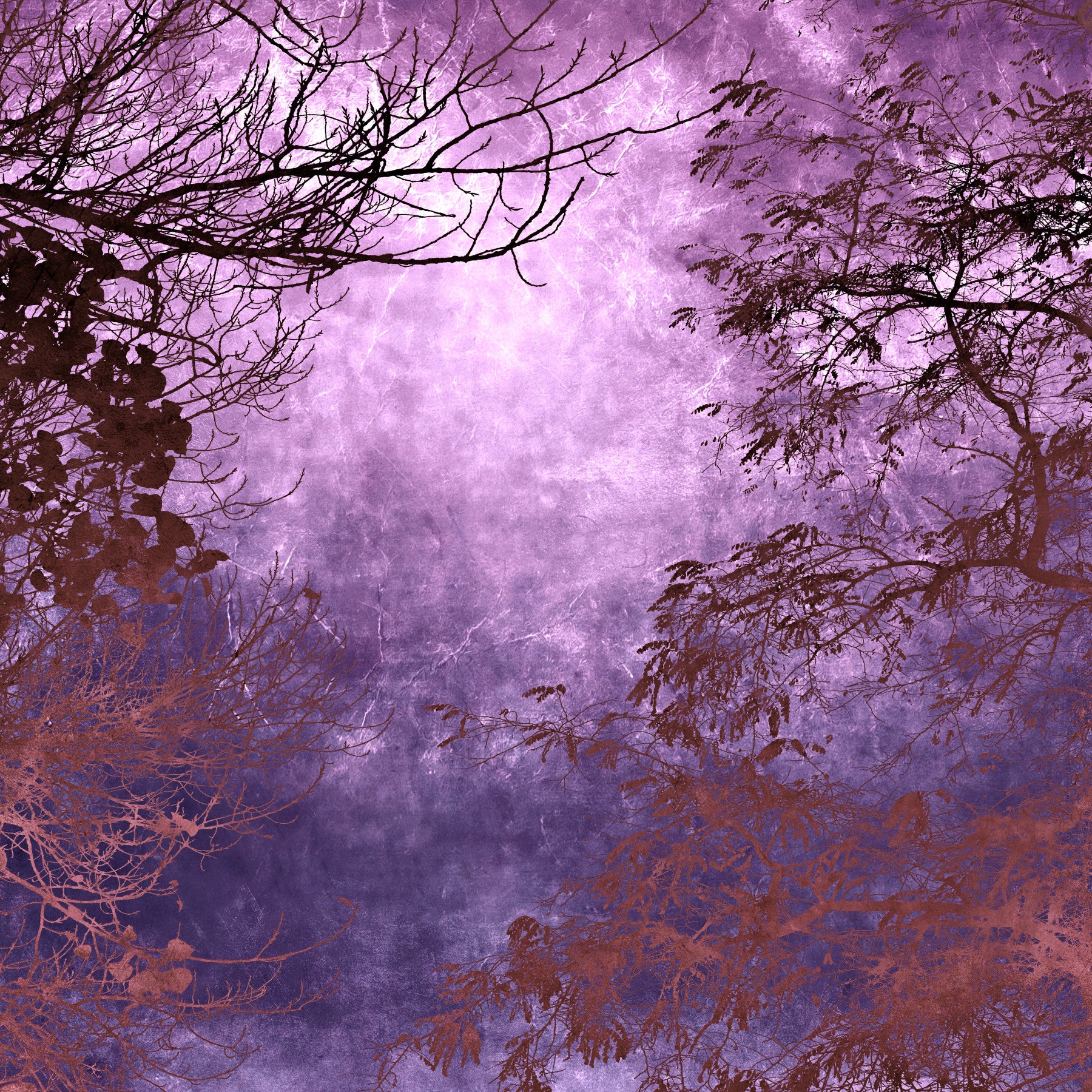 Purple Woods Wall Mural