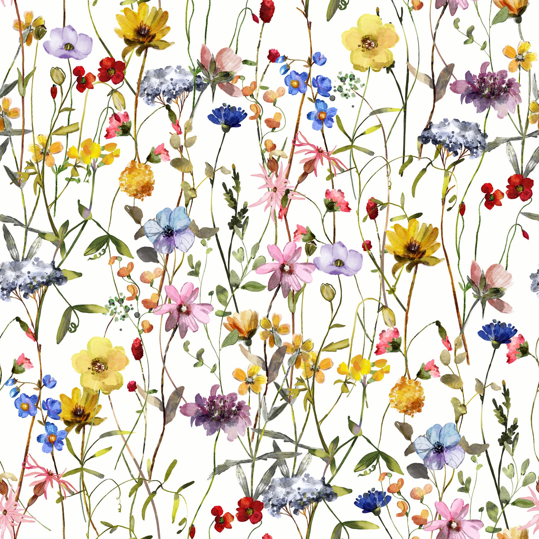 Watercolor Wildflower Whimsy Meadow Wallpaper⁠