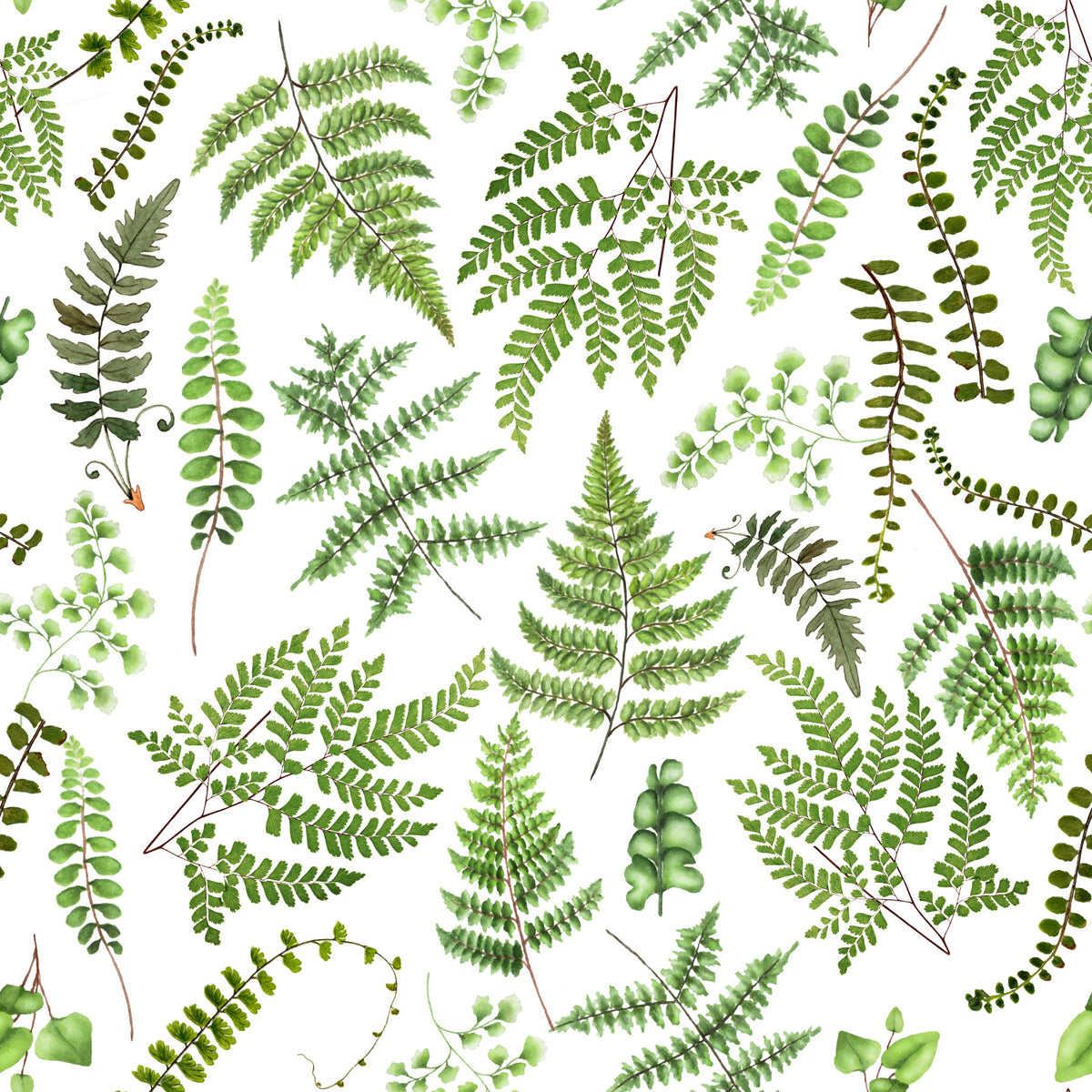 Watercolor Fern Canopy Wallpaper⁠ in your room