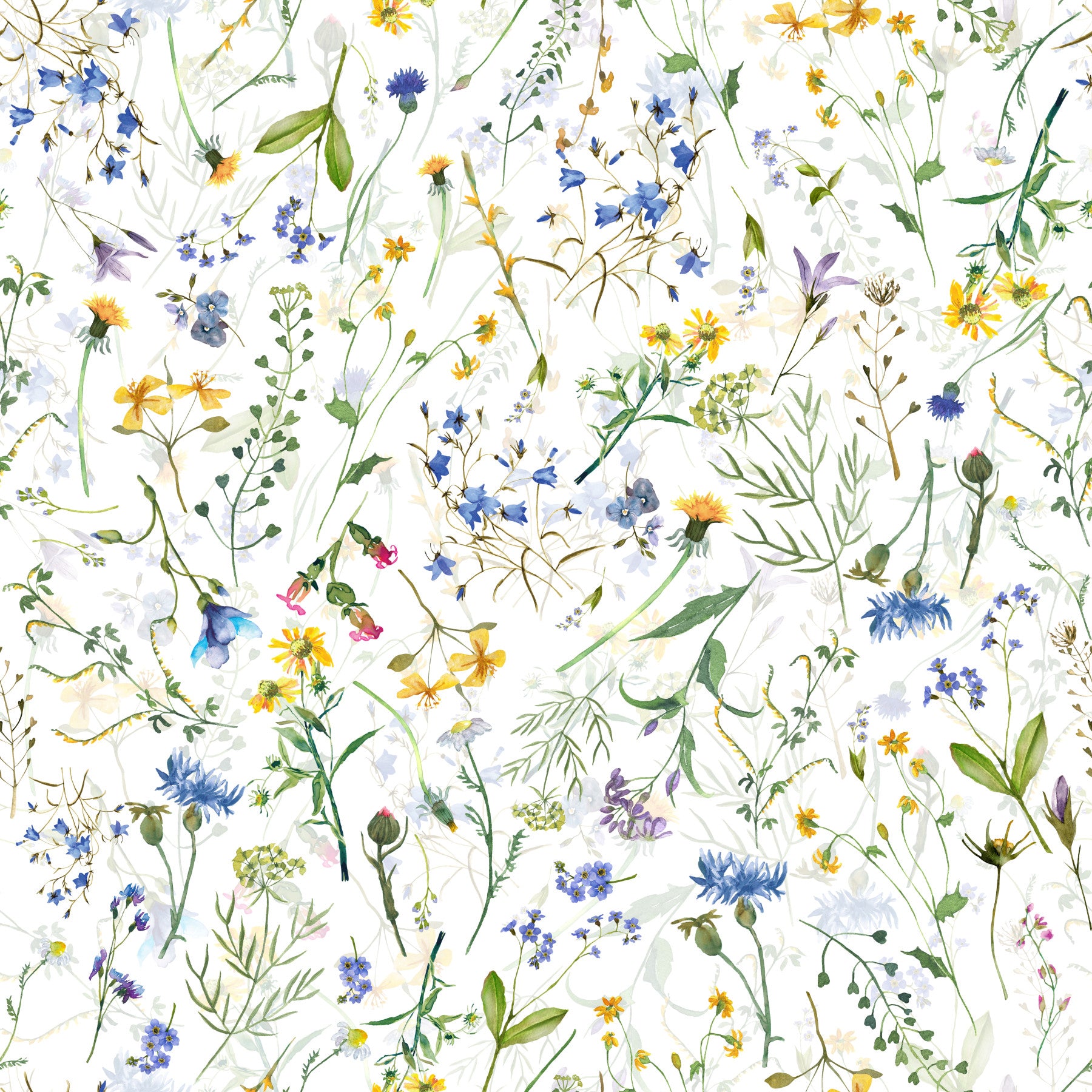 Colorful Watercolor Meadow Wallpaper‚Å†