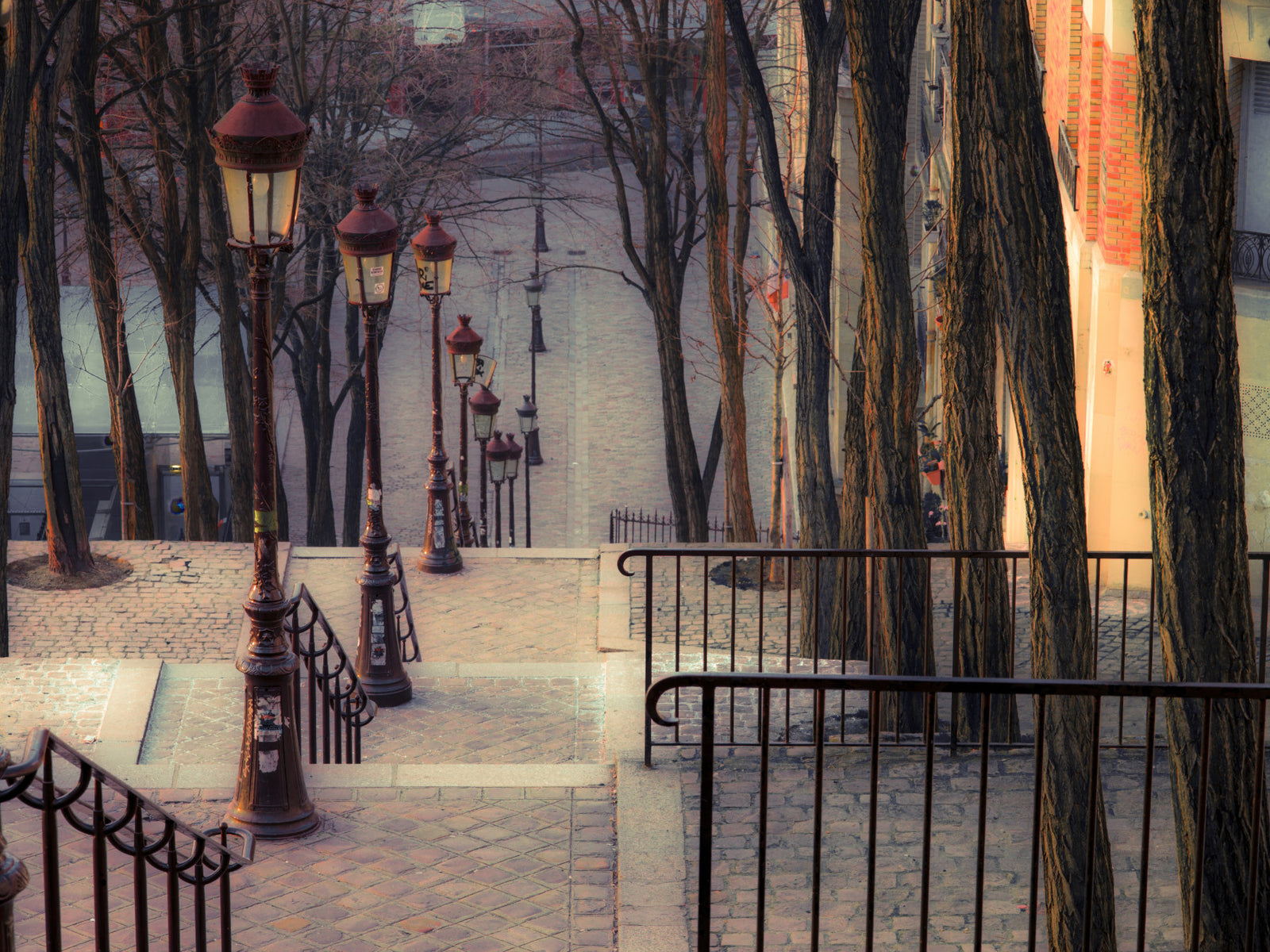 Montmartre's Iconic Staircase Wall Mural