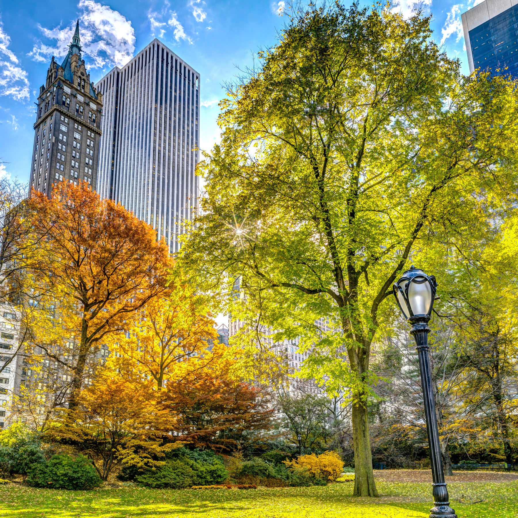 Central Park in Fall Colors Wall Mural in your room — zoomed