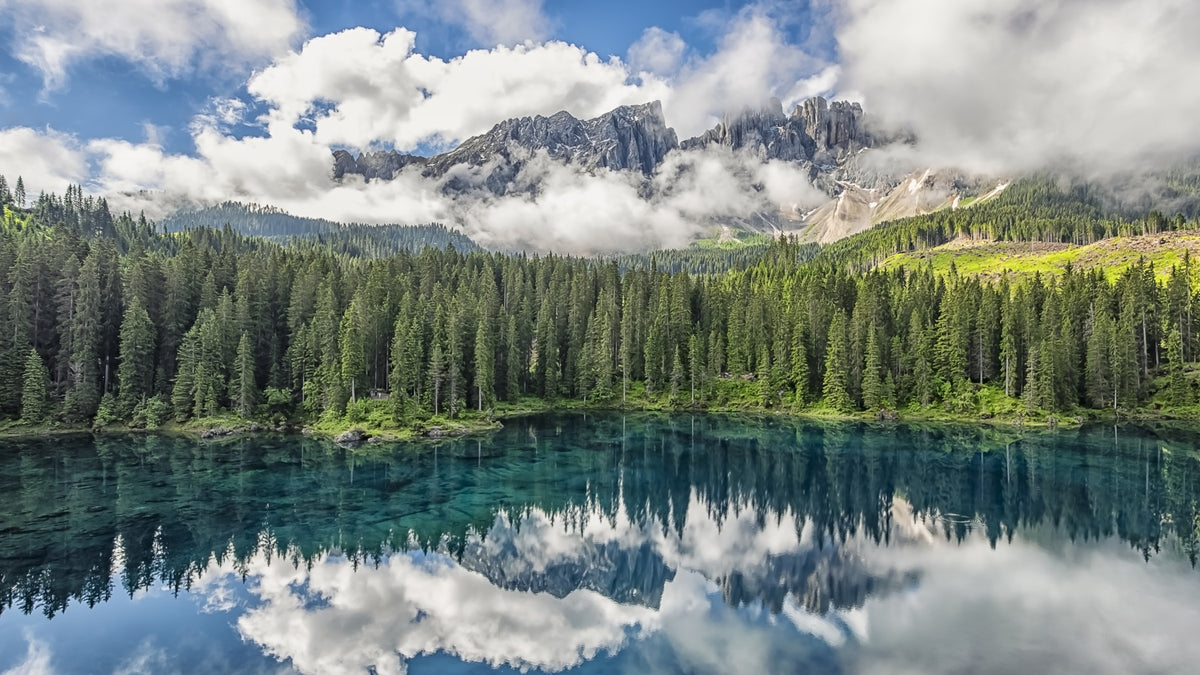 Turquoise Dreamscape Wall Mural in your room — zoomed