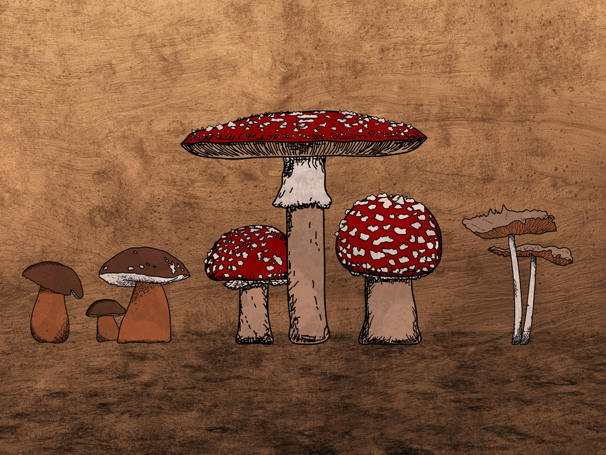 Ancient Mushrooms Wall Mural in your room — zoomed