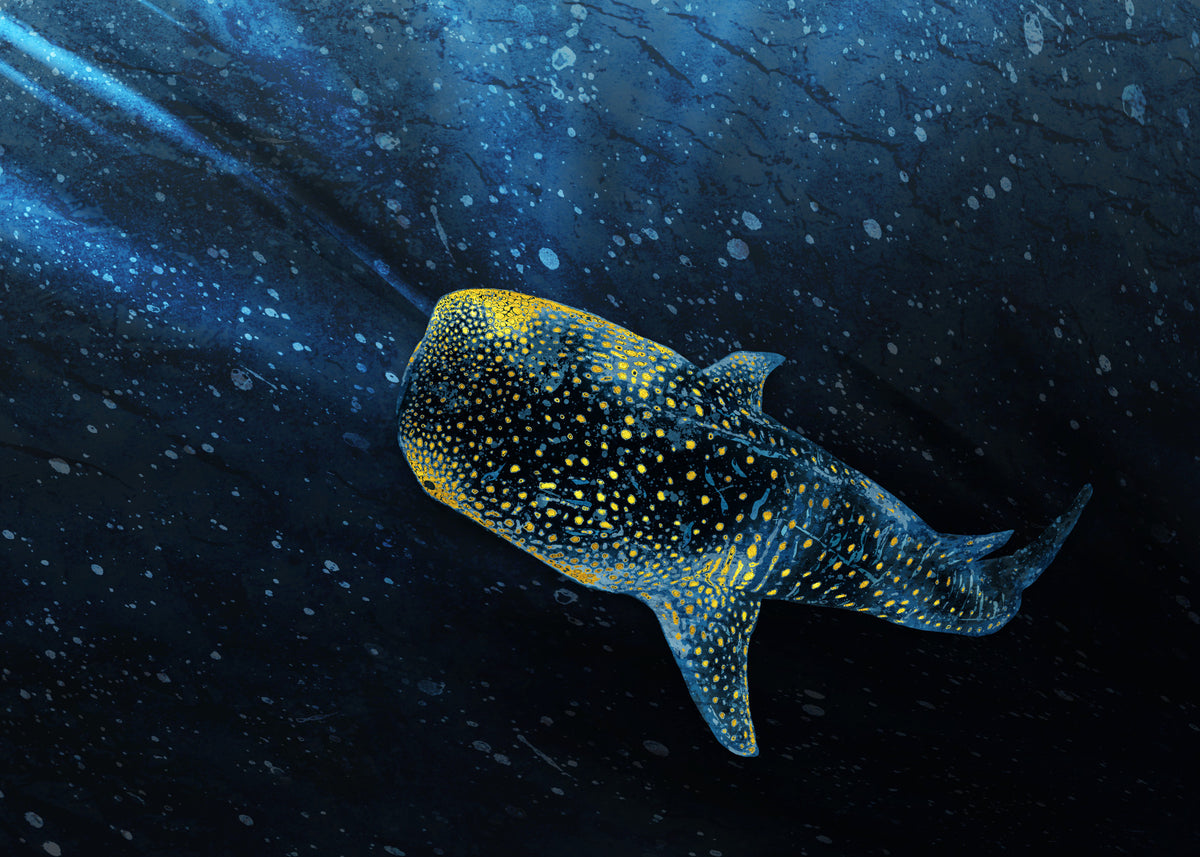 Golden Whale Shark Wall Mural in your room — zoomed