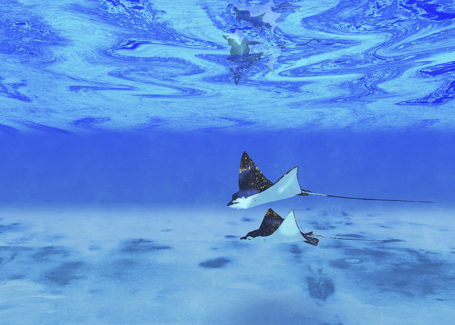 Ethereal Manta Rays Wall Mural in your room — zoomed