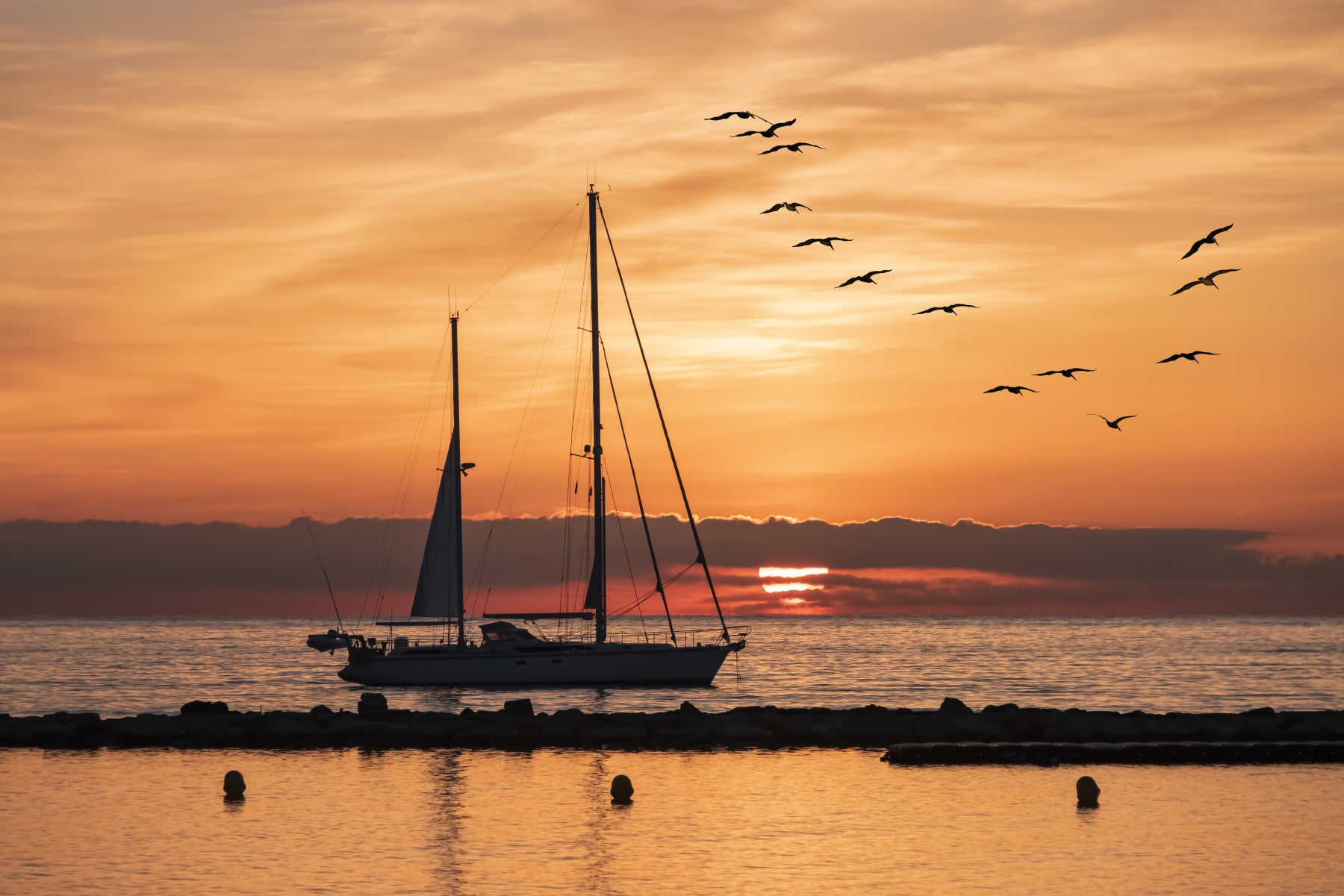 Golden Horizon Wall Mural in your room — zoomed