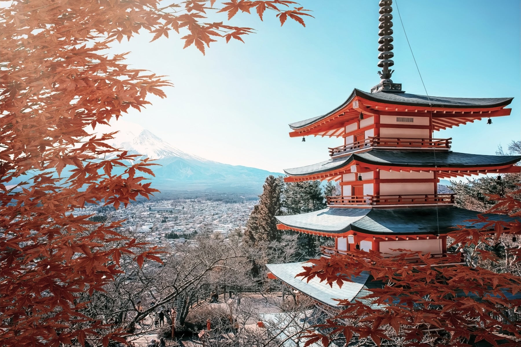 Fuji's Autumn Hues Wall Mural in your room — zoomed