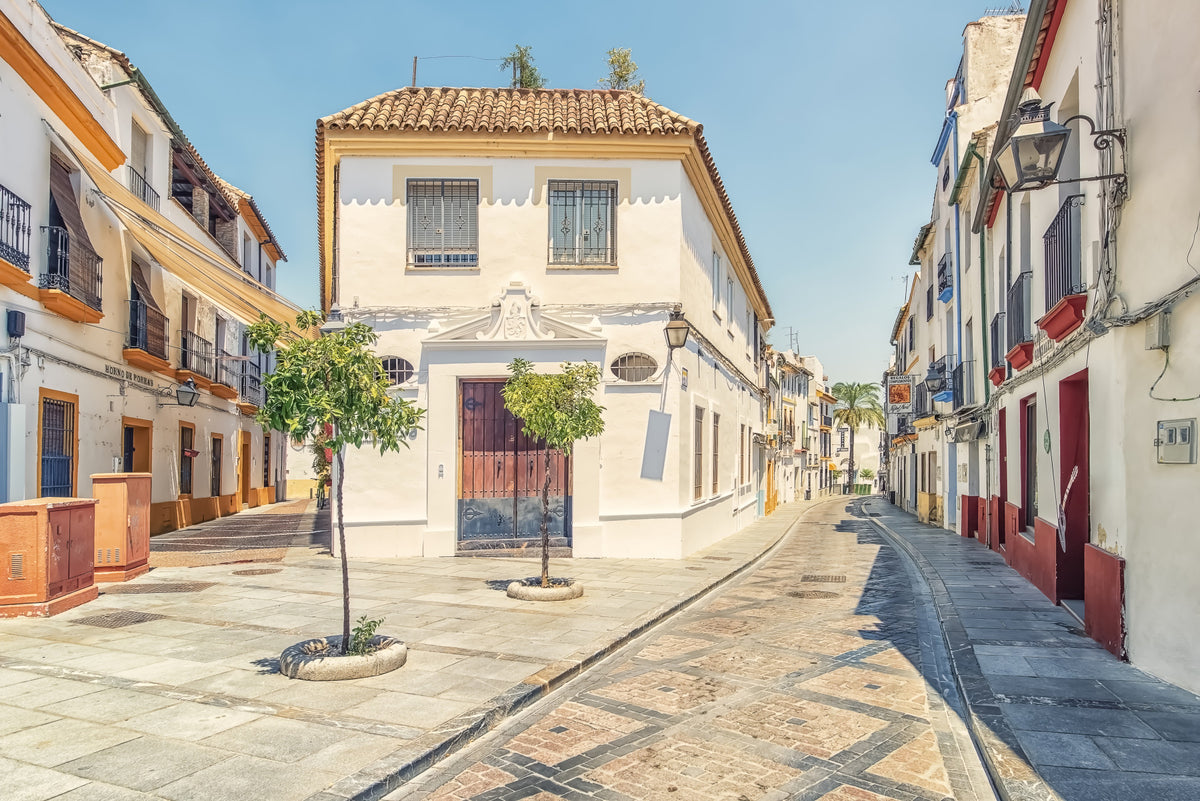 Spanish Street Charm Wall Mural in your room
