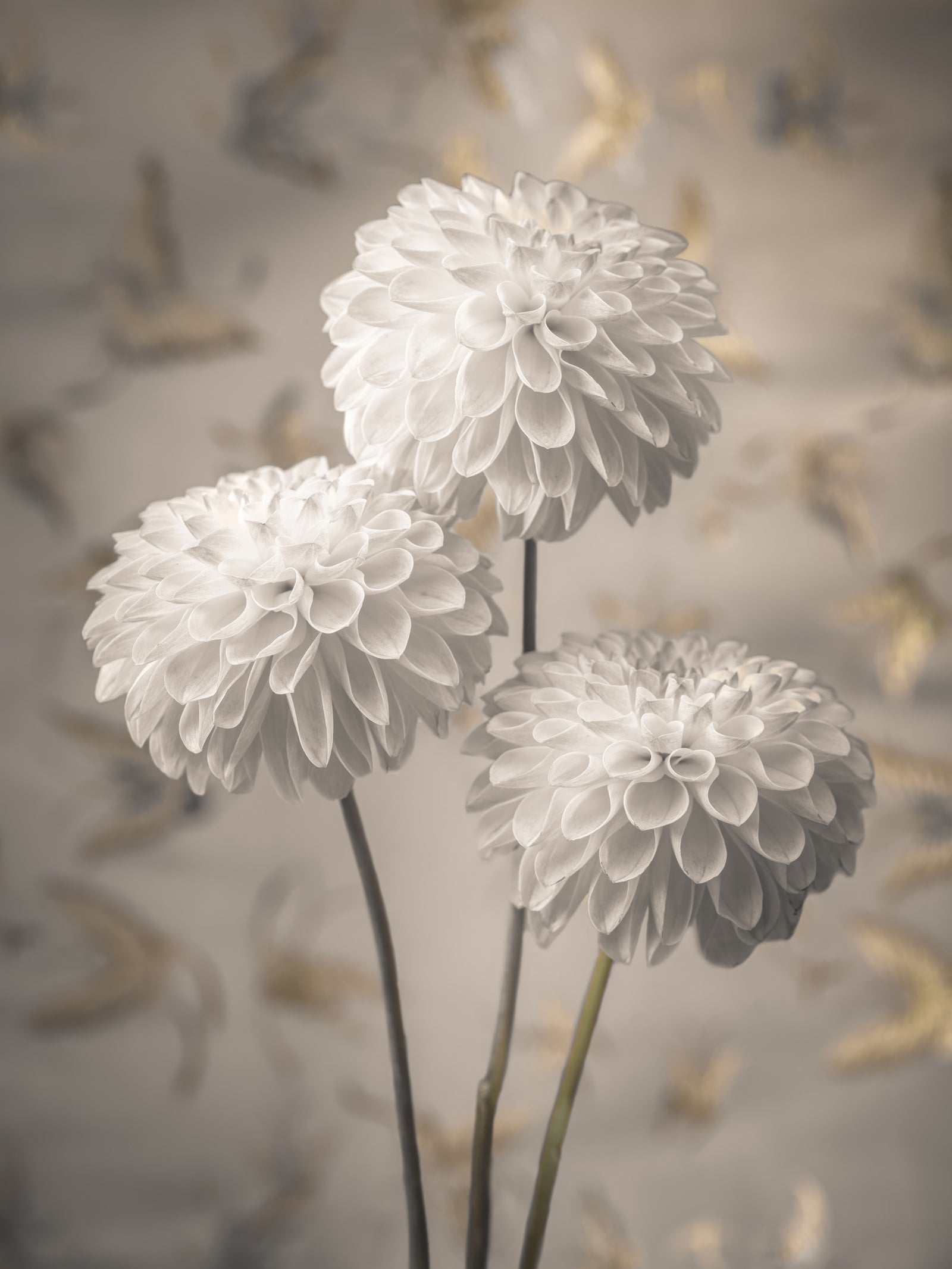 Beige Blooms Wall Mural