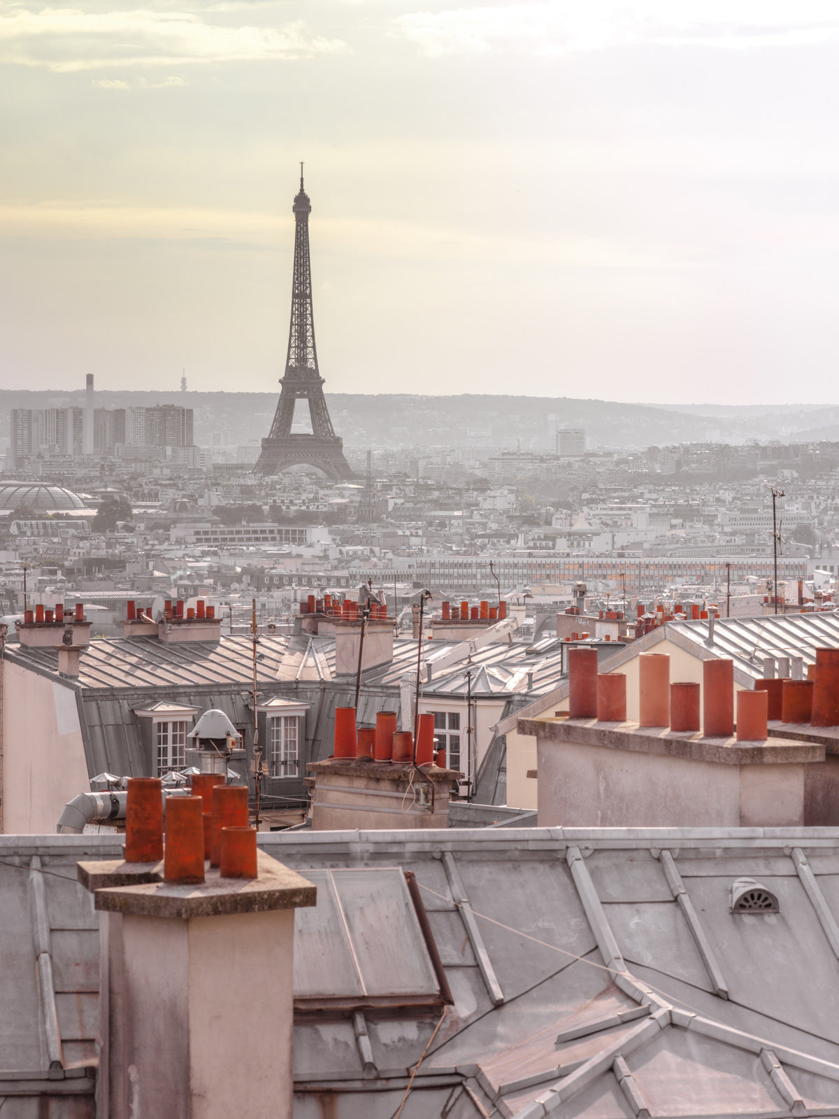 Parisian Rooftops Wall Mural in your room