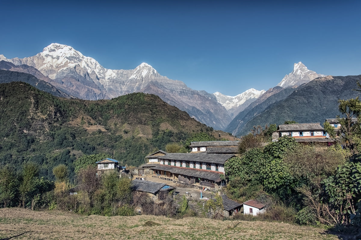 Himalayan Heights Wall Mural in your room — zoomed