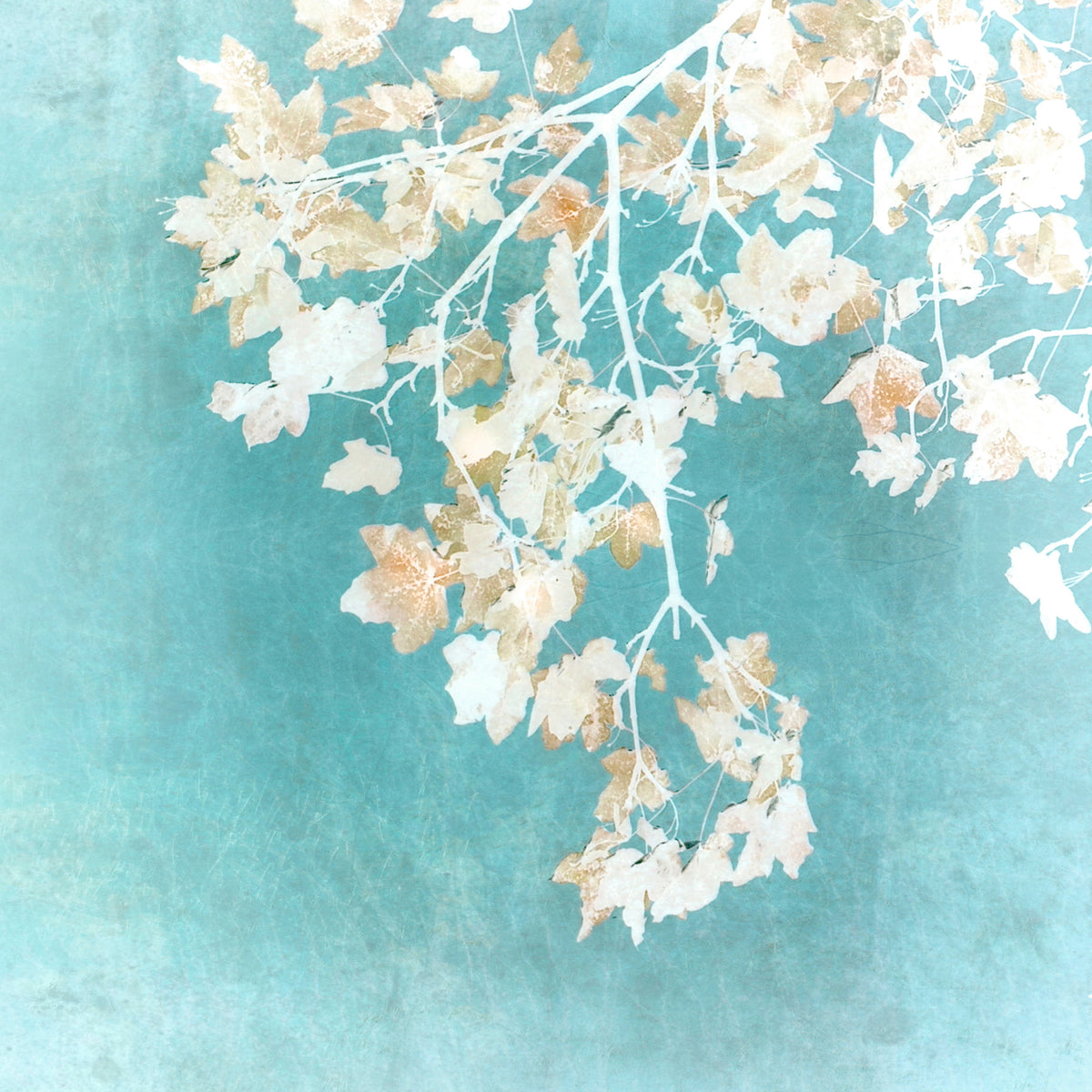 Teal Leaf Whispers Wall Mural in your room