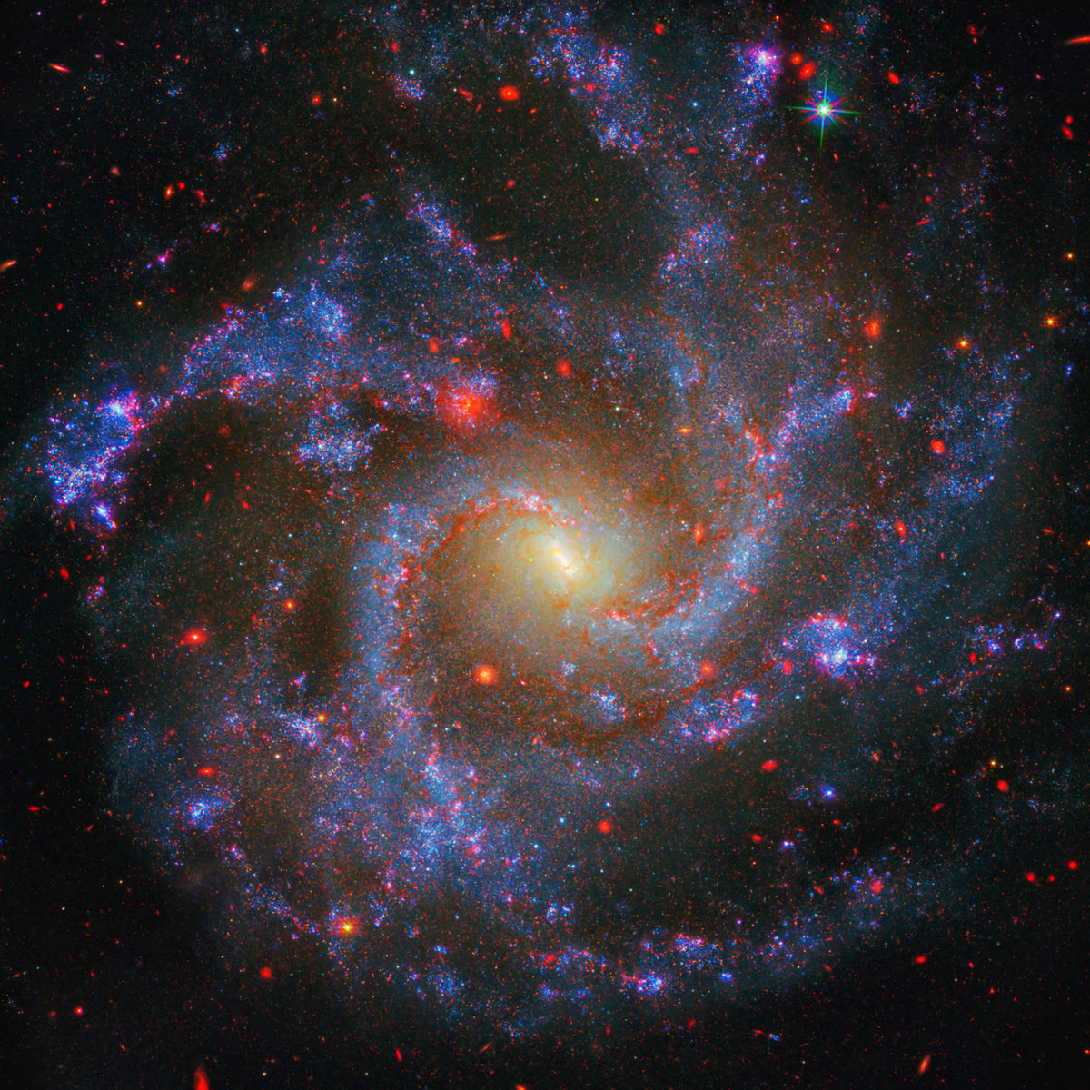 NGC 5468 Galaxy Wall Mural in your room — zoomed