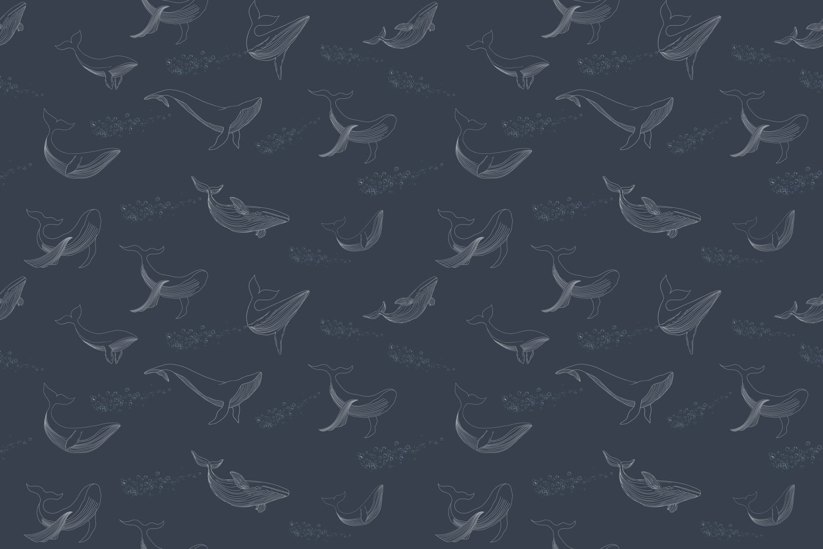 Whale Song Serenade Wall Mural