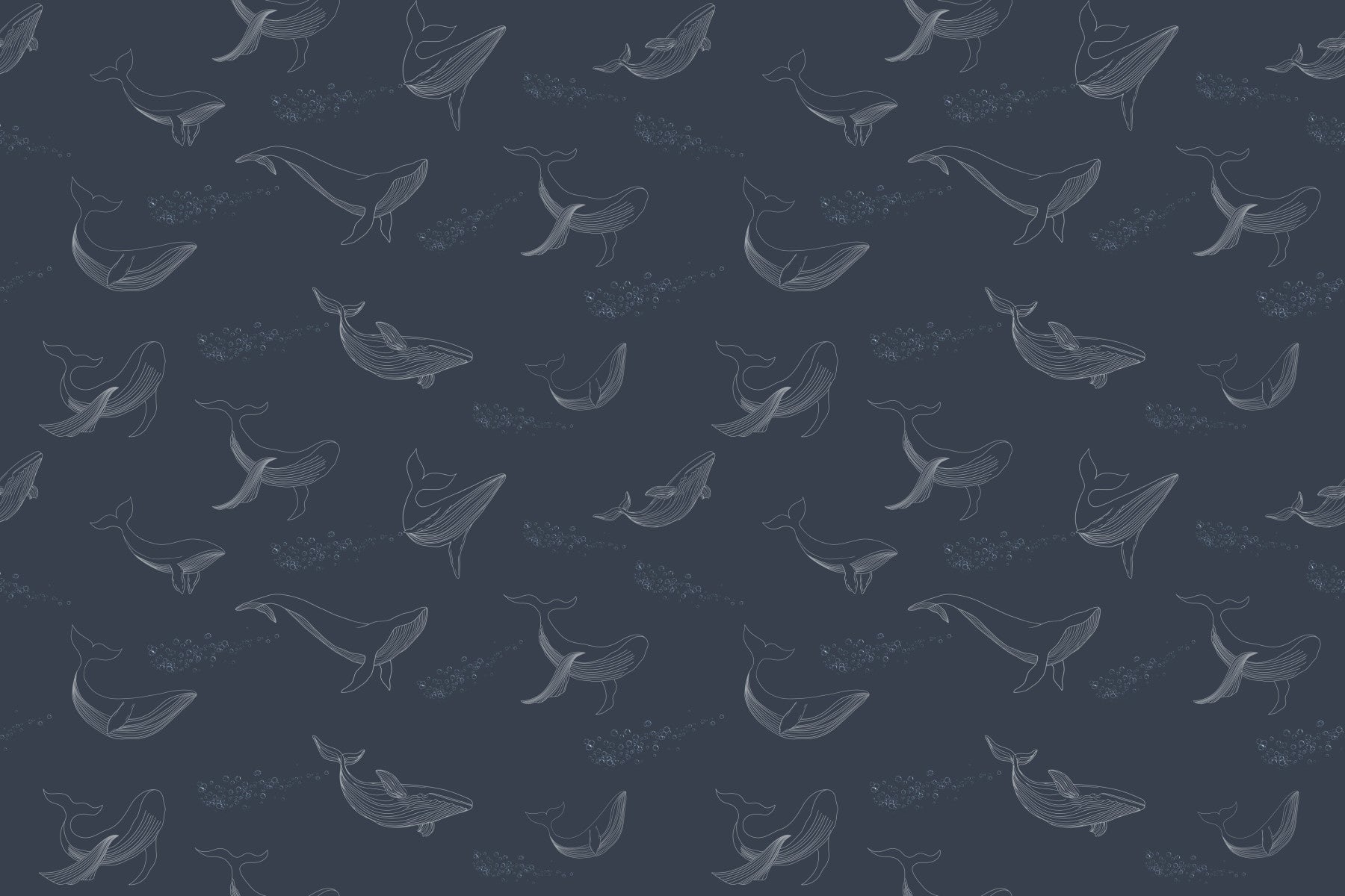 Whale Song Serenade Wall Mural in your room — zoomed