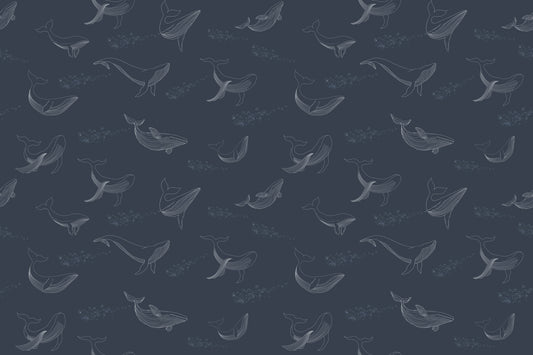 Whale Song Serenade Wall Mural