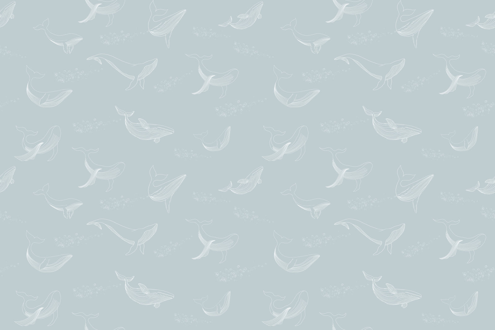 Aqua Whale Dreams Wall Mural