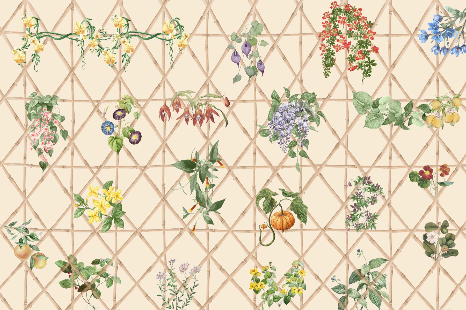 Chinoiserie Garden Wall Mural