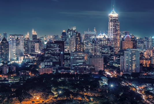 Night Cityscape Wall Mural