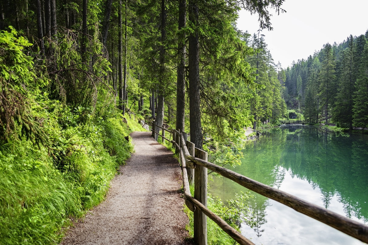 Emerald Lake Trail Wall Mural in your room