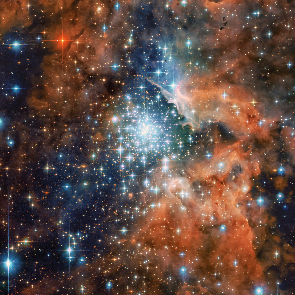 Starlight Vista Wall Mural in your room