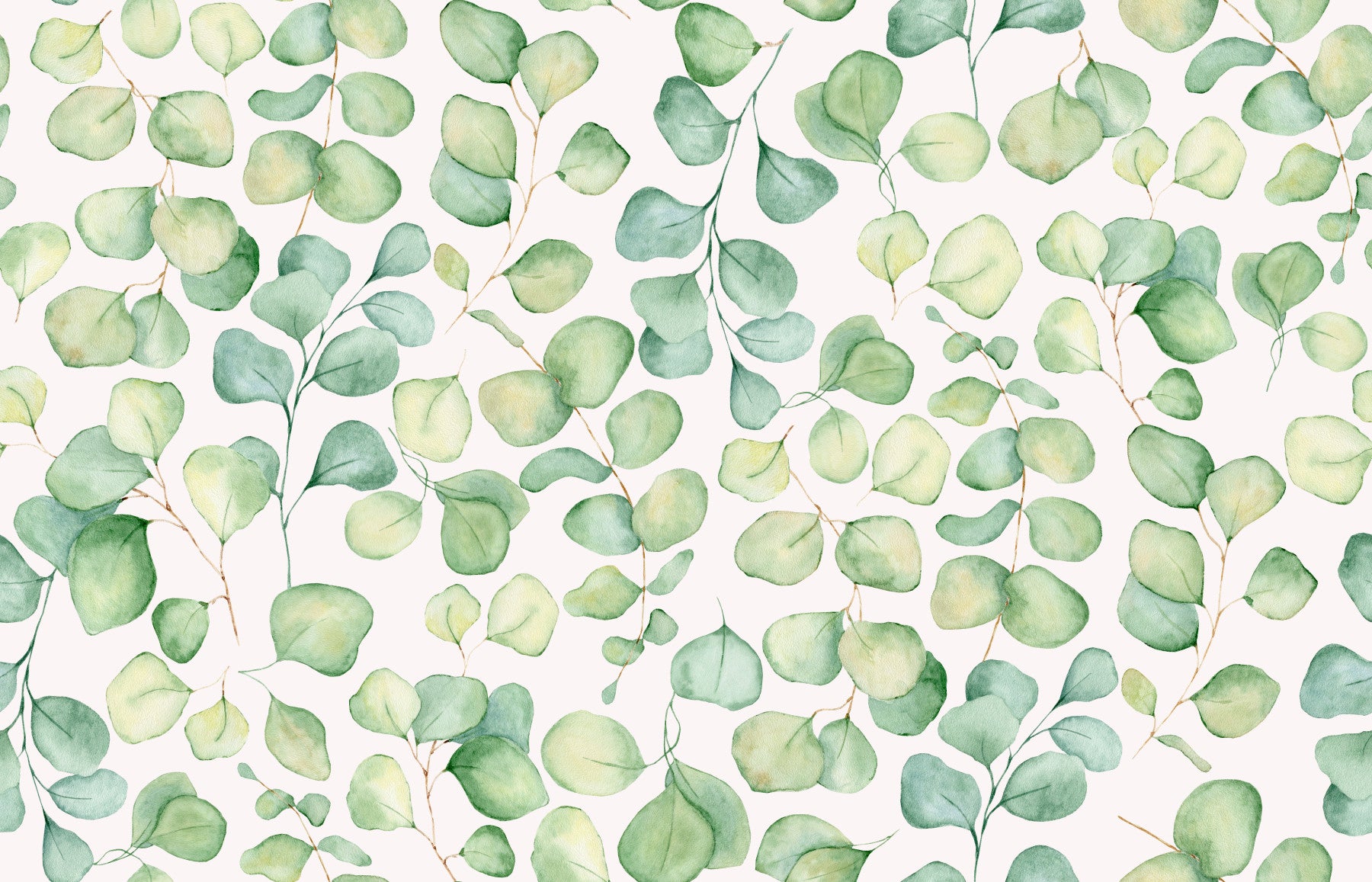 Eucalyptus Dream Garden Wallpaper⁠