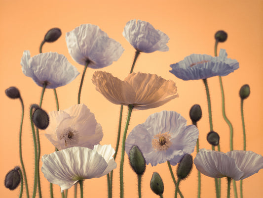 Floral Spectacle Wall Mural
