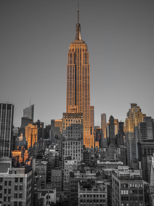 Gotham Gold Wall Mural