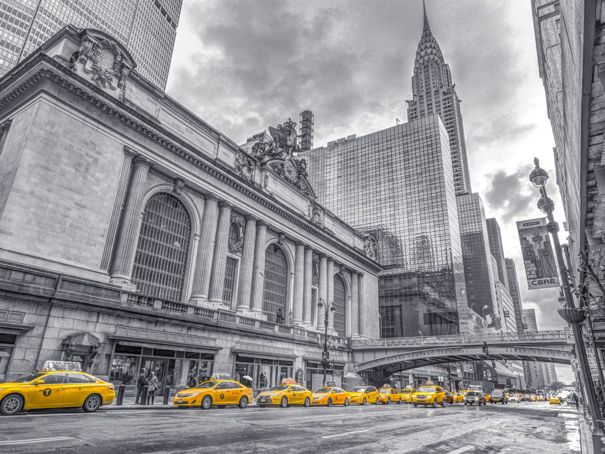 Grand Central Terminal Wall Mural