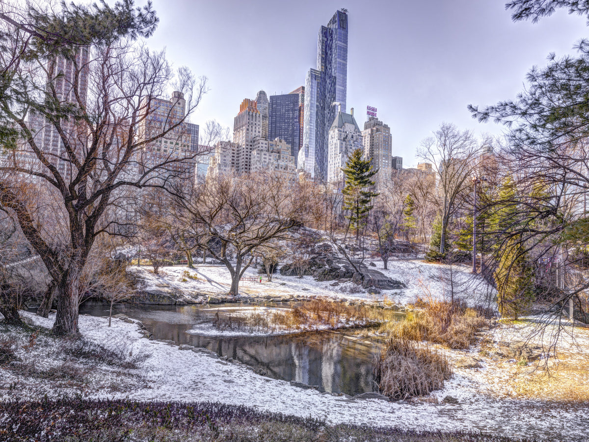 Snowy Central Park Wall Mural in your room — zoomed