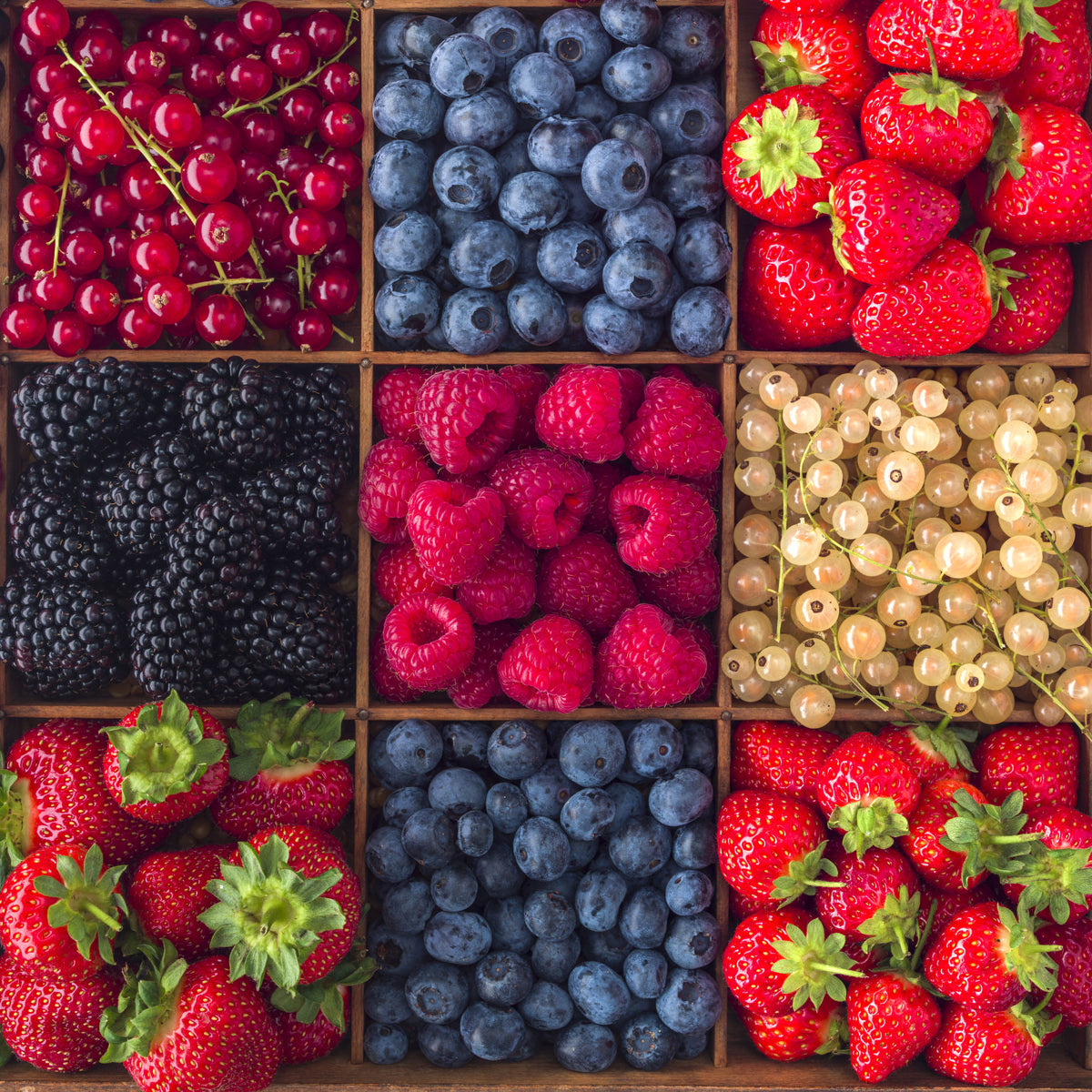 Berry Fresh Delight Wall Mural in your room — zoomed