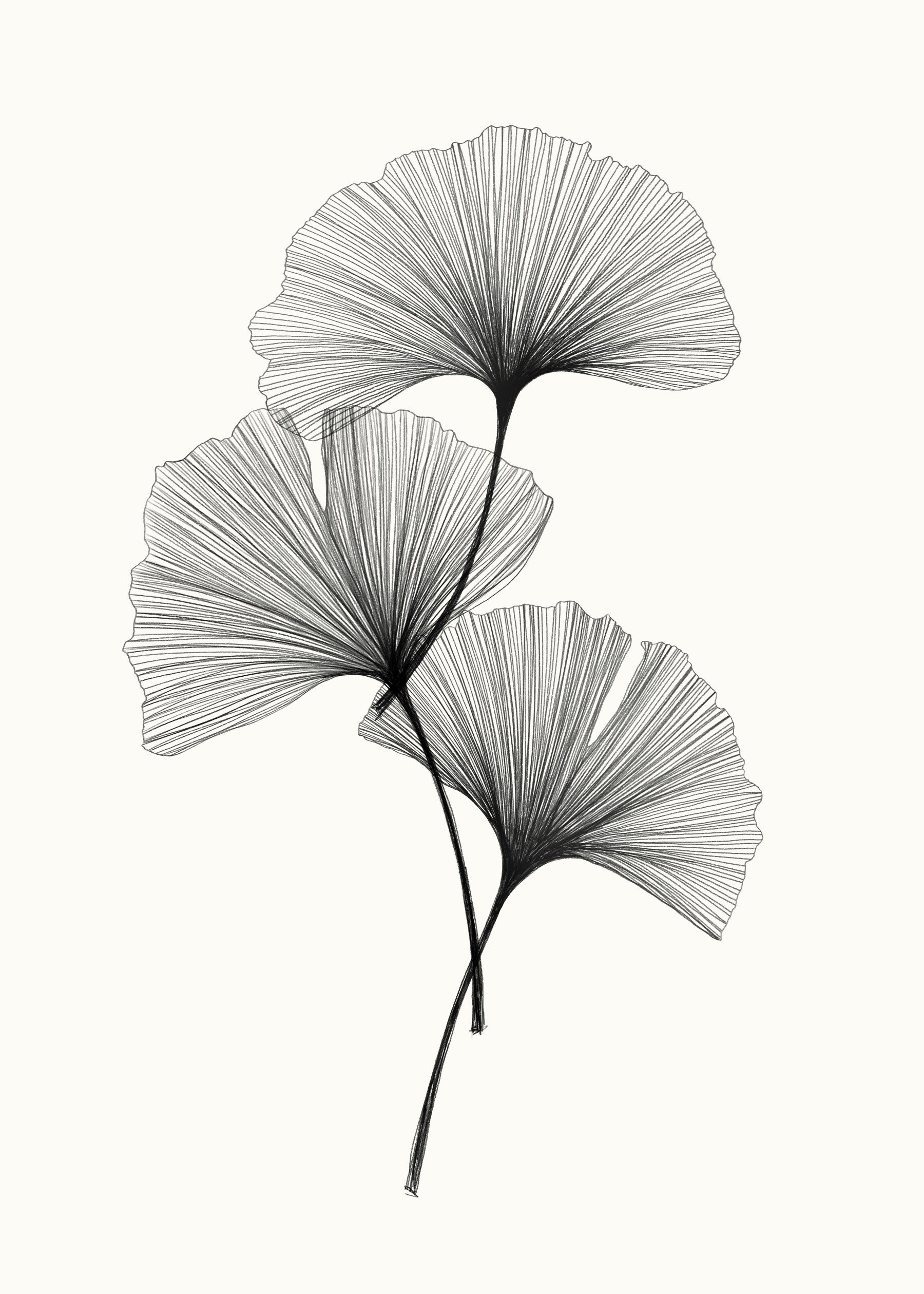 Fresque murale Ginkgo Line