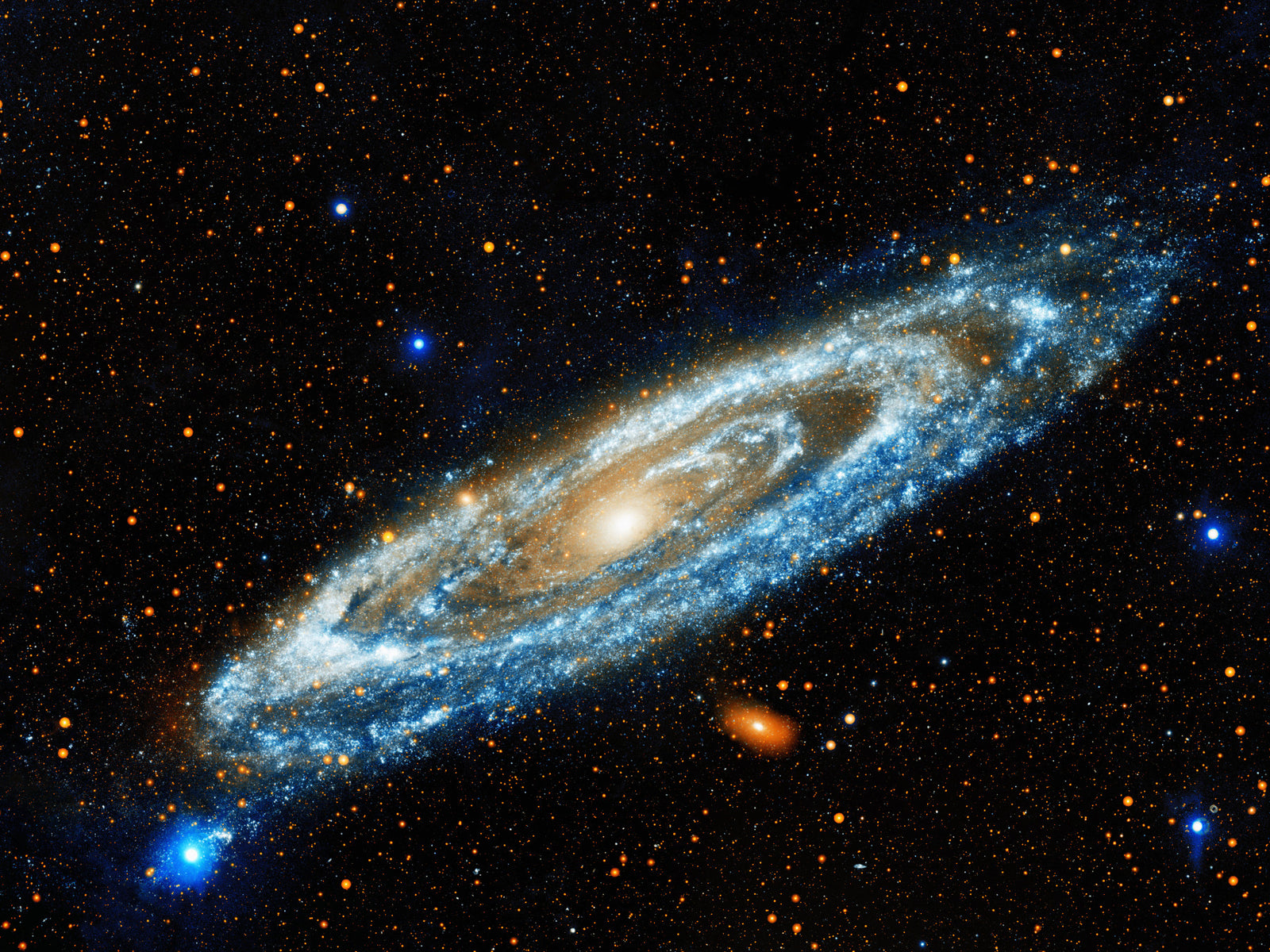 Andromeda Wall Mural