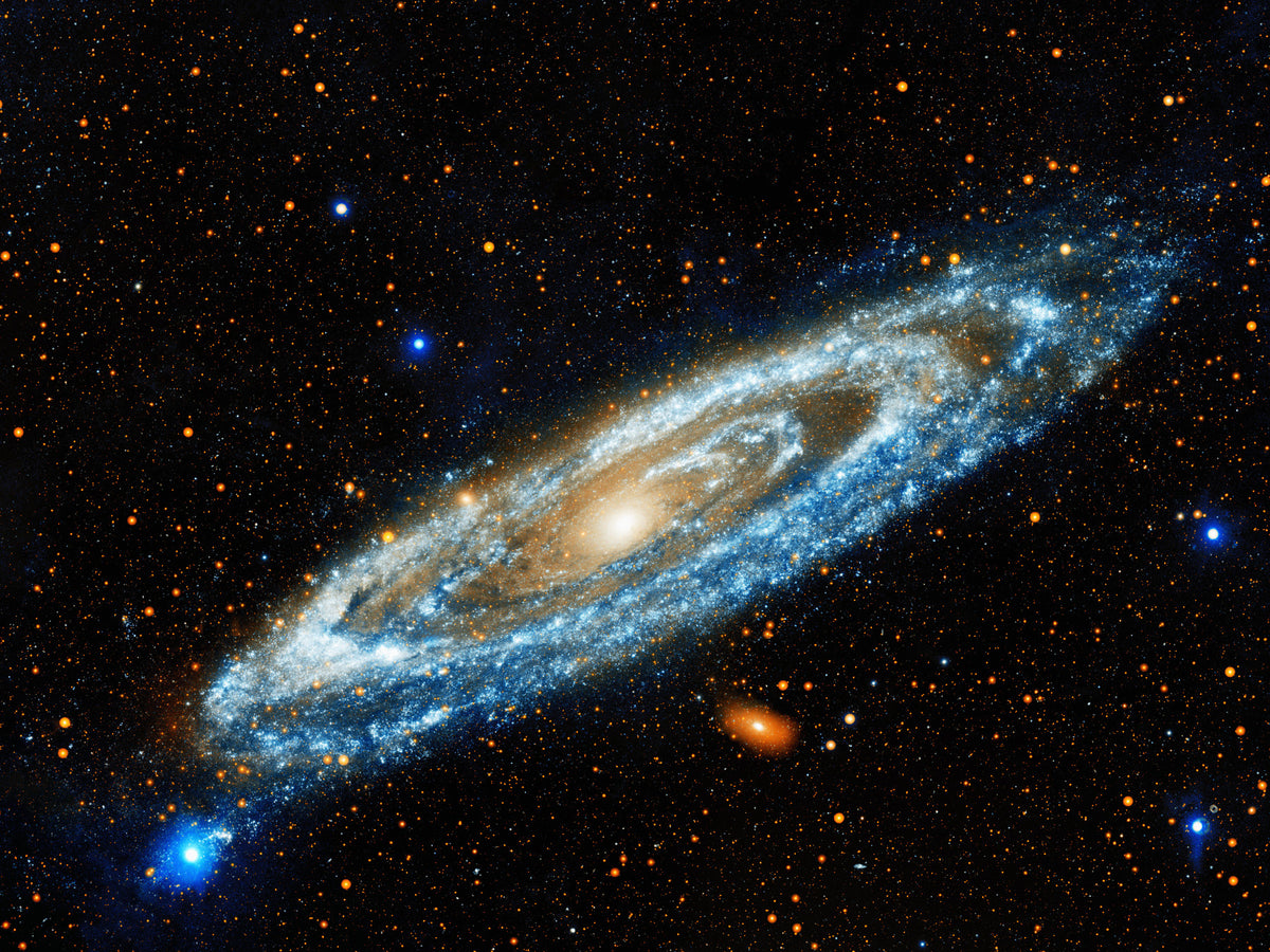 Andromeda Wall Mural in your room — zoomed