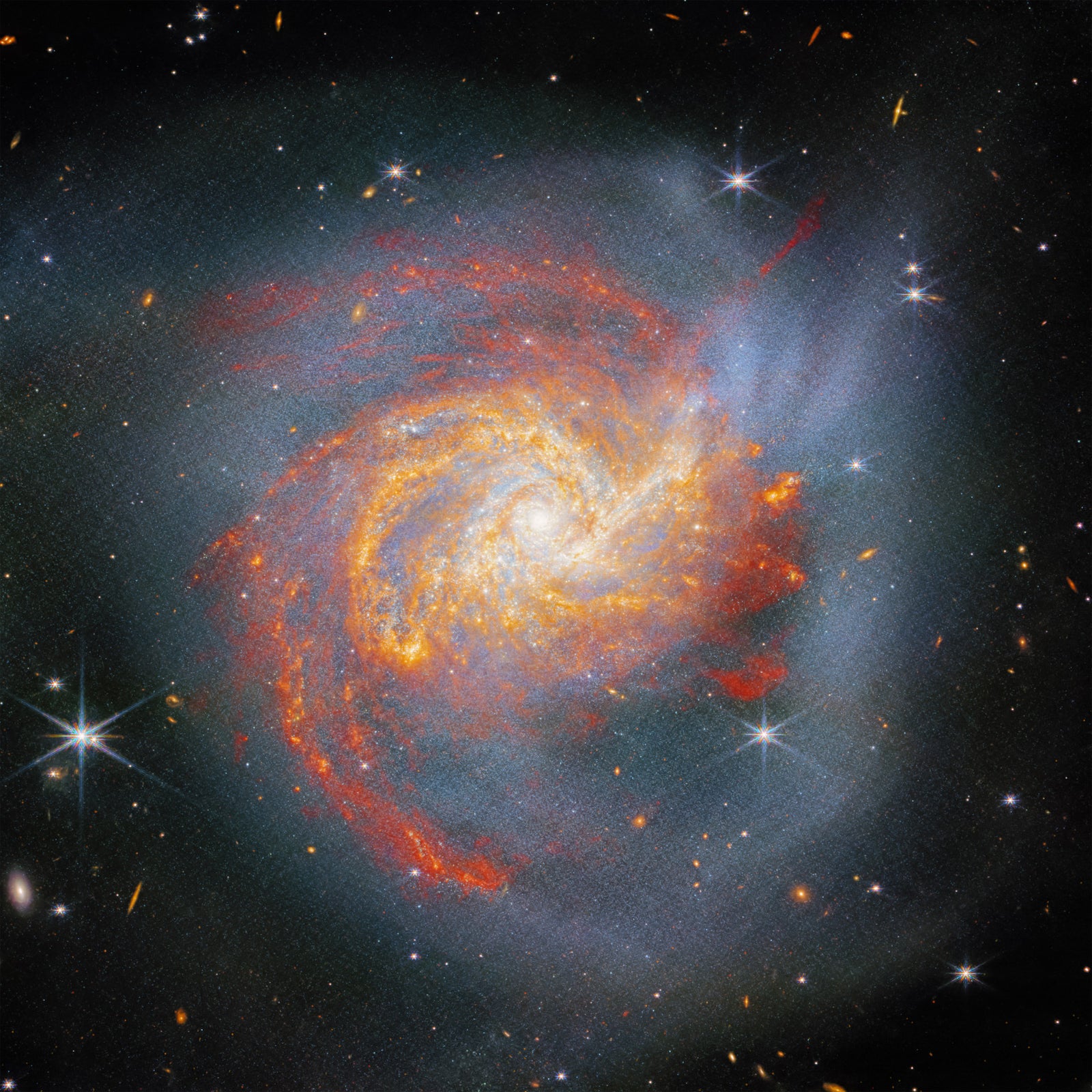 Stellar lærredsvægmaleri in your room