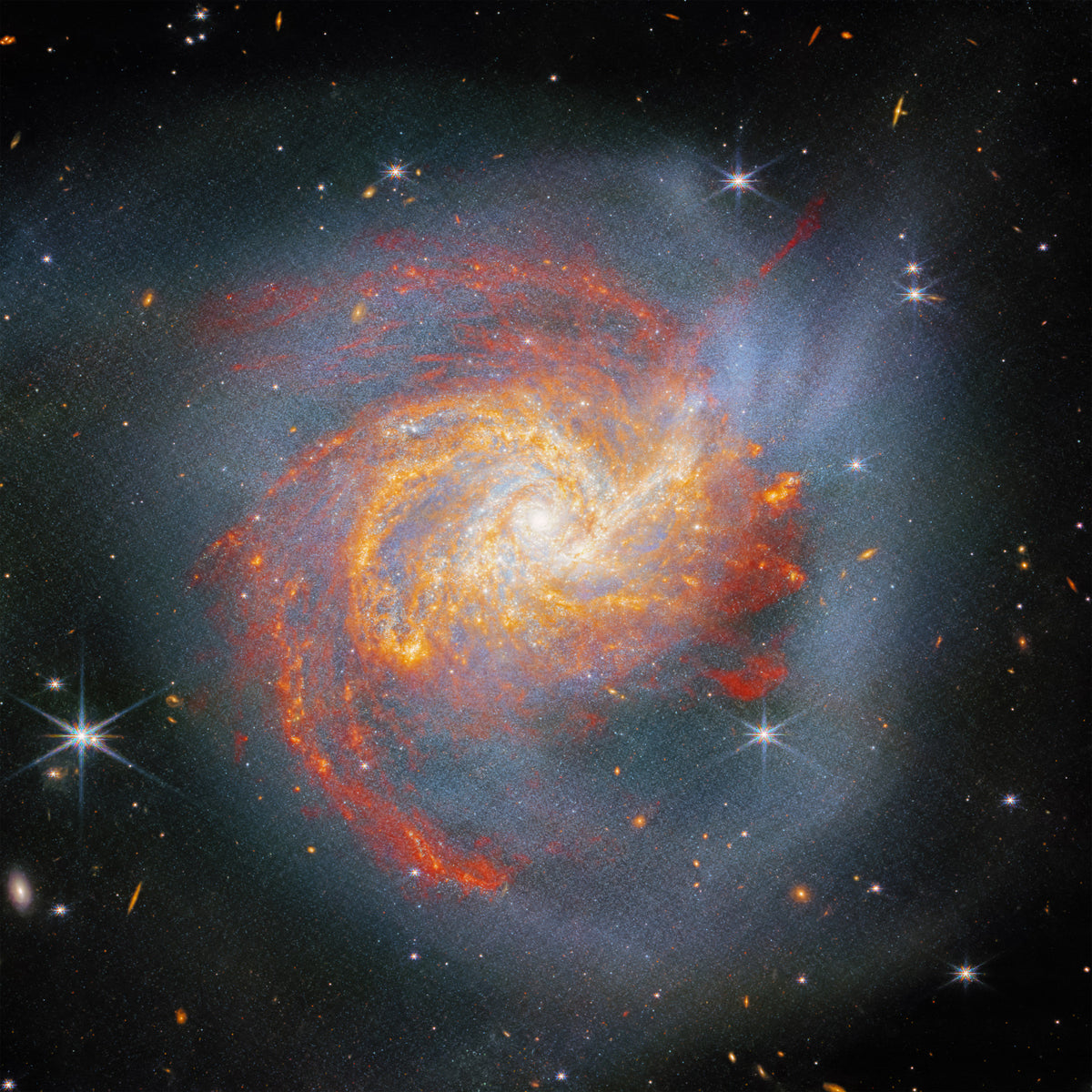 Stellar lærredsvægmaleri in your room — zoomed
