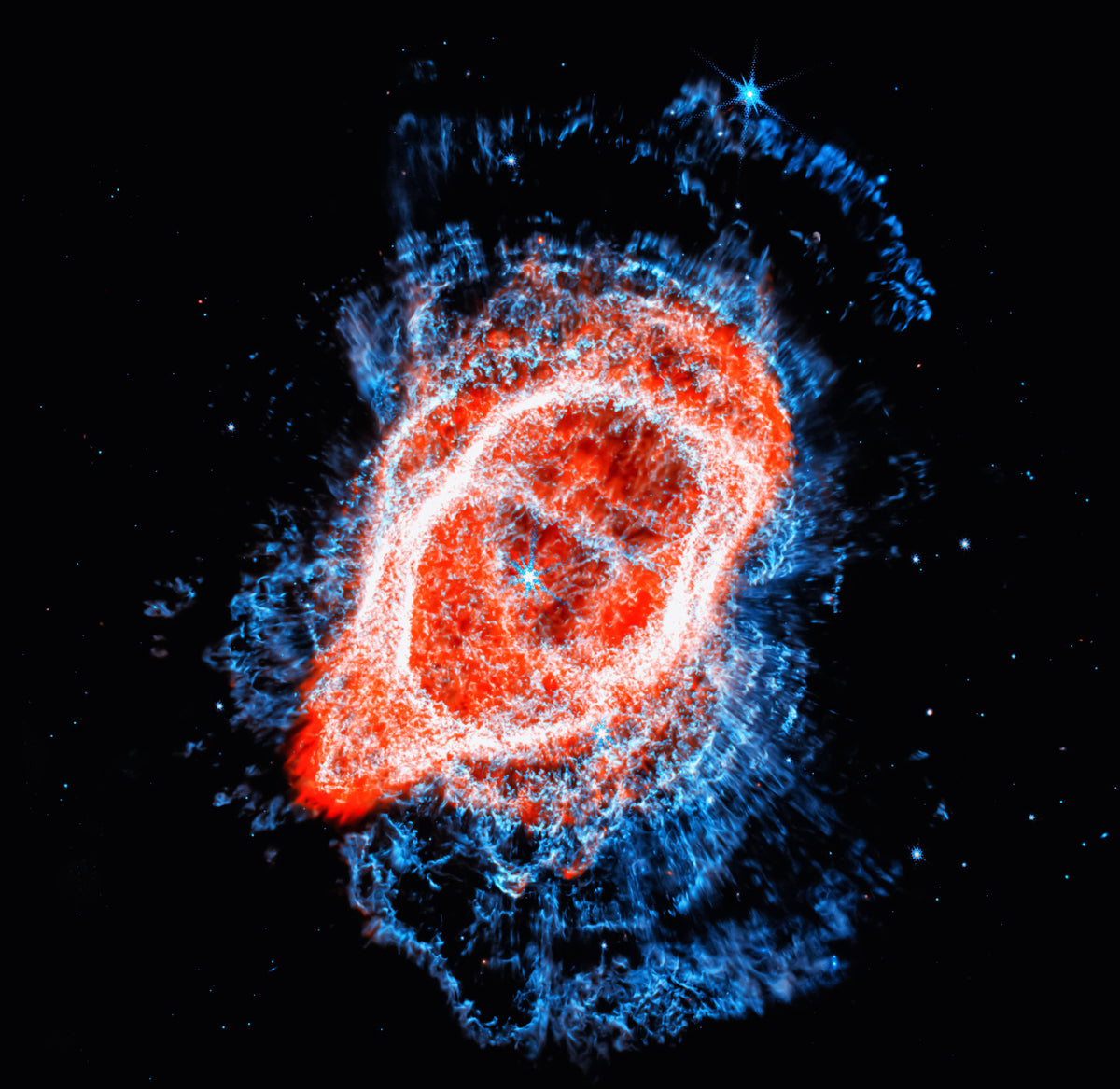 Kosmisk blomning väggmålning in your room — zoomed