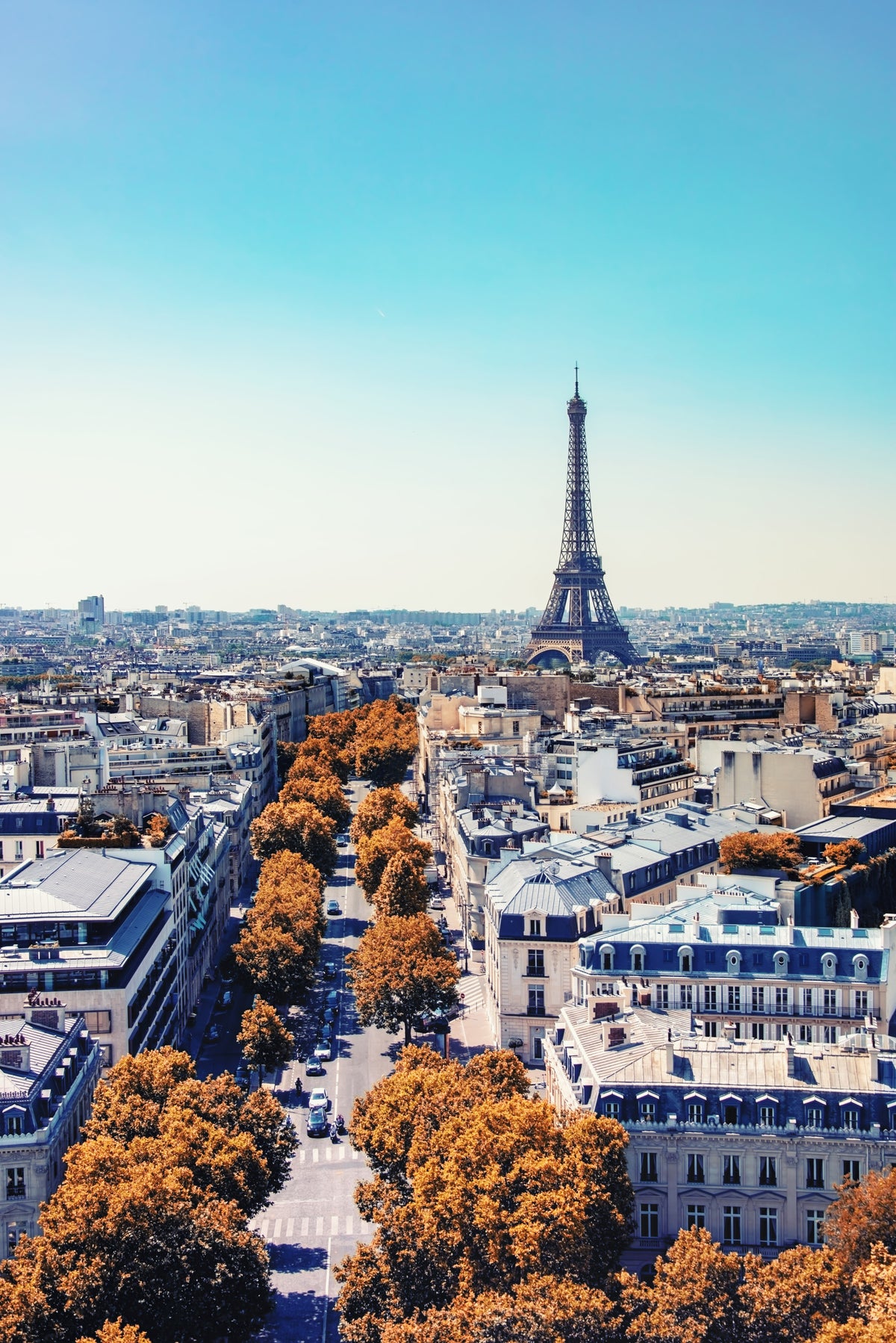 Fresque murale Automne à Paris in your room — zoomed