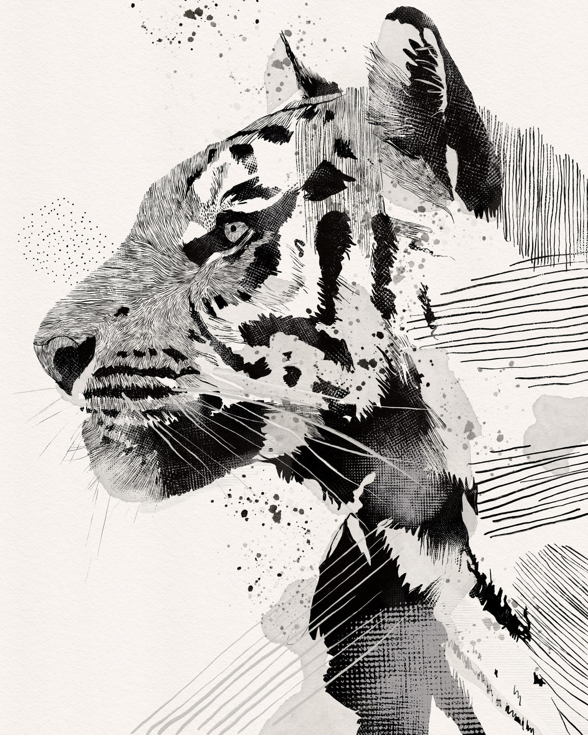 Wandbild mit Tiger-Tintenporträt in your room — zoomed
