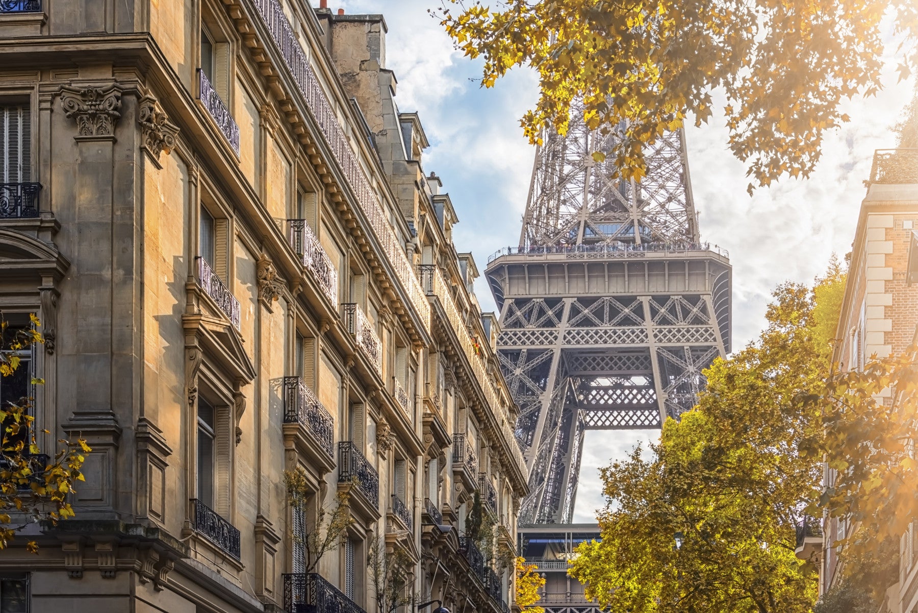 Eiffel's Golden Hour Wall Mural