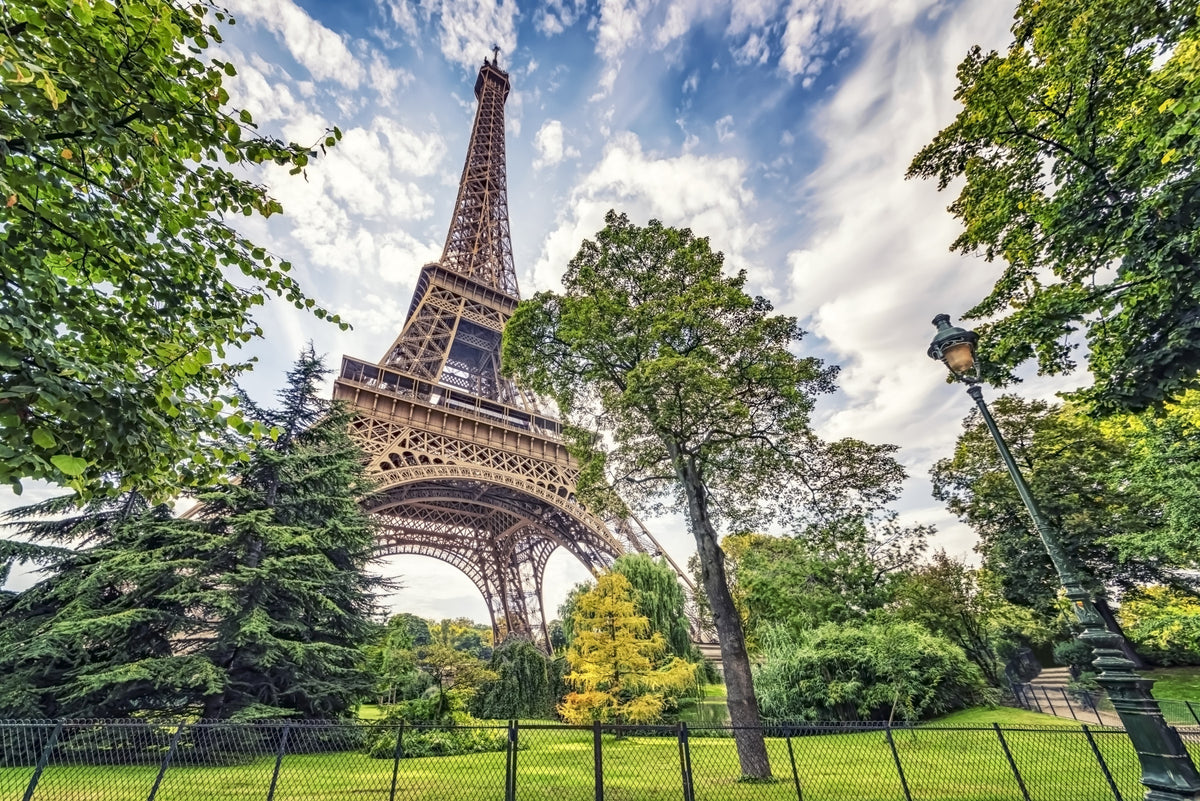 Mural de pared con verdes de la Torre Eiffel in your room — zoomed