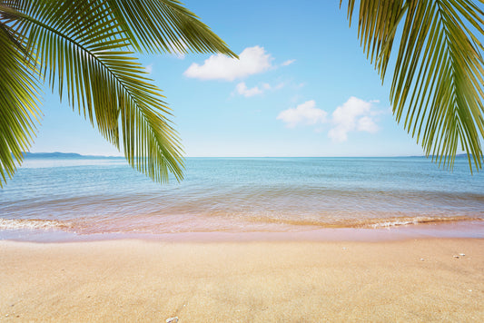 Tropical Shore Wall Mural